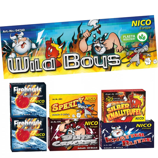 Wild-Boys 6-tlg. Sortiment